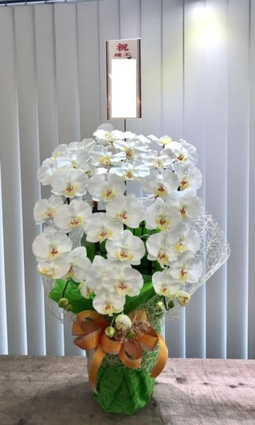 胡蝶蘭（光触媒加工造花）